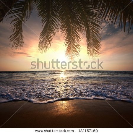 Пальмы и море